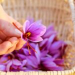 Saffron Hocking portrait