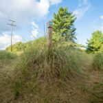 Sandi Toksvig professional portrait