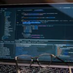 software build process