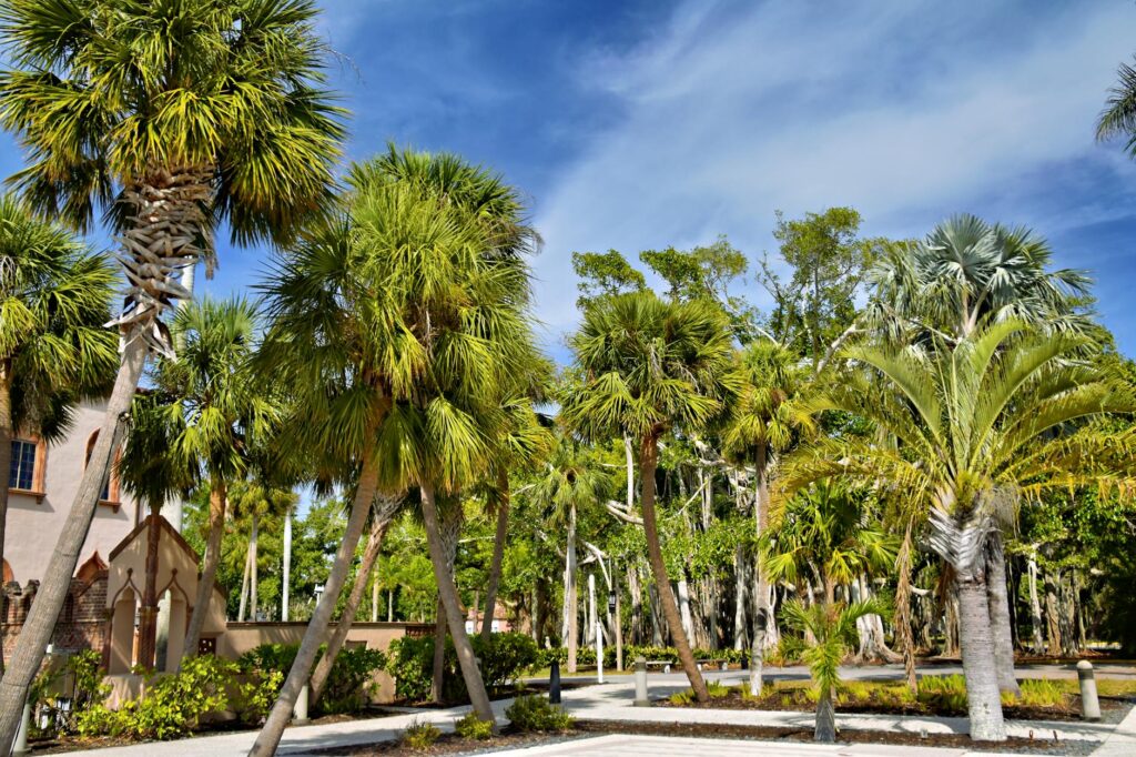 Southwest Florida coast