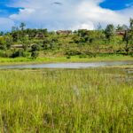 Taiyilake Nueraji Kiefer Crosbie fight
