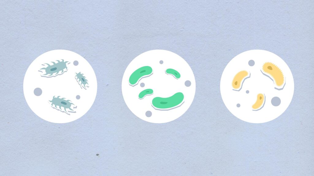 various types of wax blocks