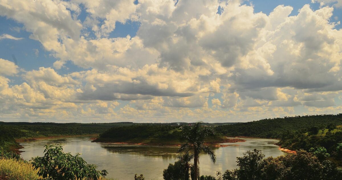 Wanda Hutchins: What You Need to Know