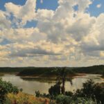 Wanda Hutchins professional portrait