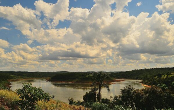 Wanda Hutchins: What You Need to Know