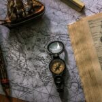 The Navigator Pear: A Beginner’s Complete Guide (2026)