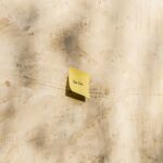 Cast of You Have Done Well: Who’s Who and What’s Next